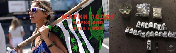 дживик Баксан