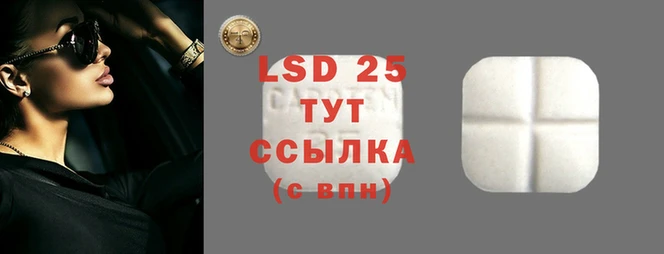 дживик Баксан