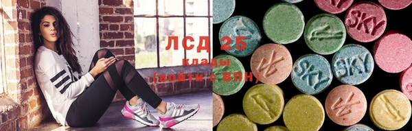 дживик Баксан