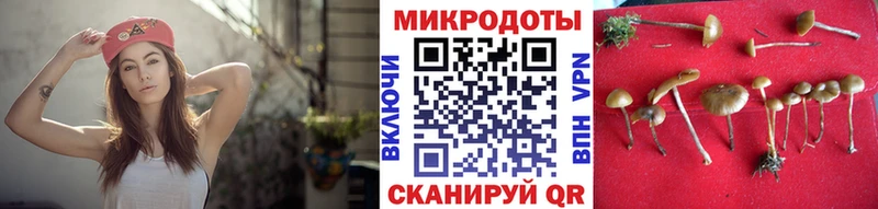 Псилоцибиновые грибы Psilocybe  Беломорск 