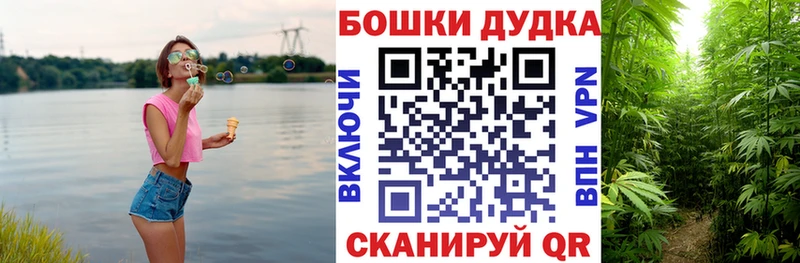 где можно купить   Беломорск  Марихуана марихуана 
